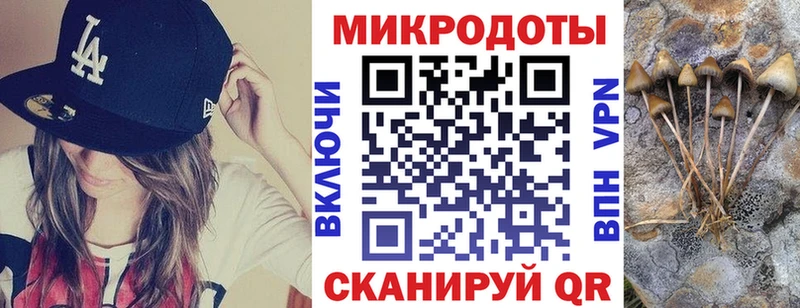 МЕГА зеркало  это какой сайт  Галлюциногенные грибы мухоморы  Заводоуковск 