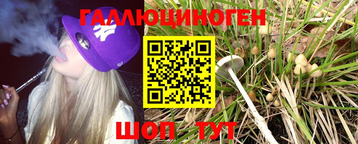 Галлюциногенные грибы Cubensis Заводоуковск
