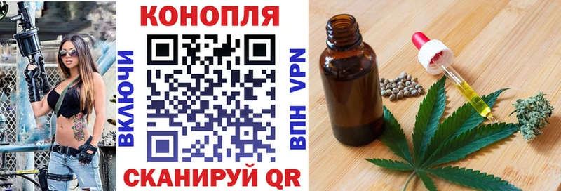 Каннабис сатива  Заводоуковск 